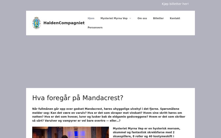 Screenshot of haldencompagniet.no
