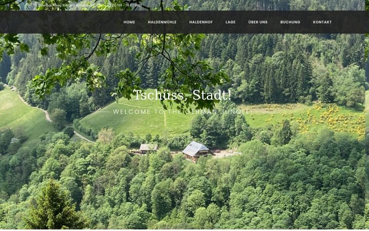 Screenshot of haldenmuehle-schwarzwald.de