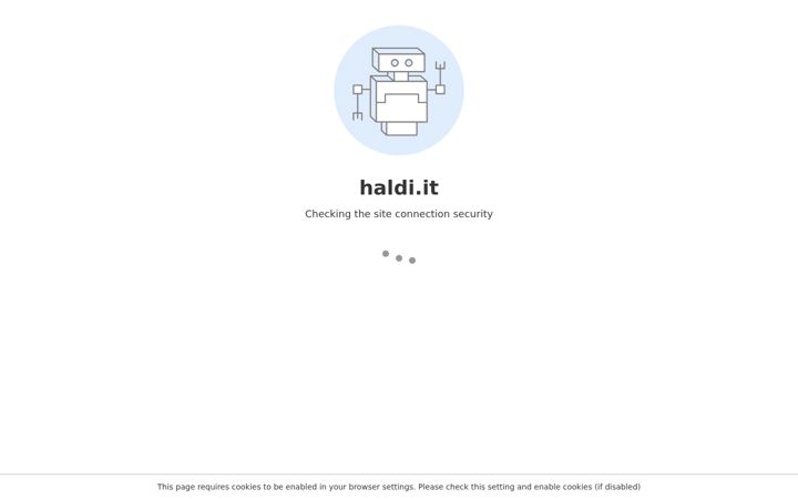 Screenshot of haldi.it