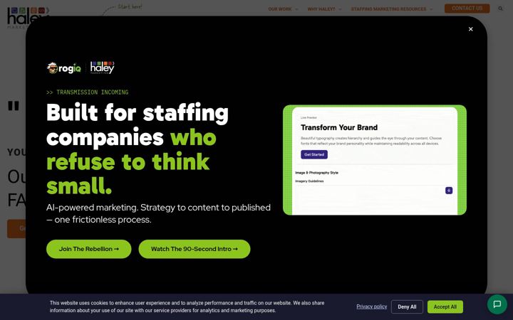 Screenshot of haleymarketing.com