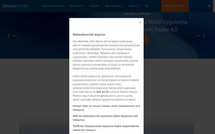 Screenshot of halkyatirim.com.tr