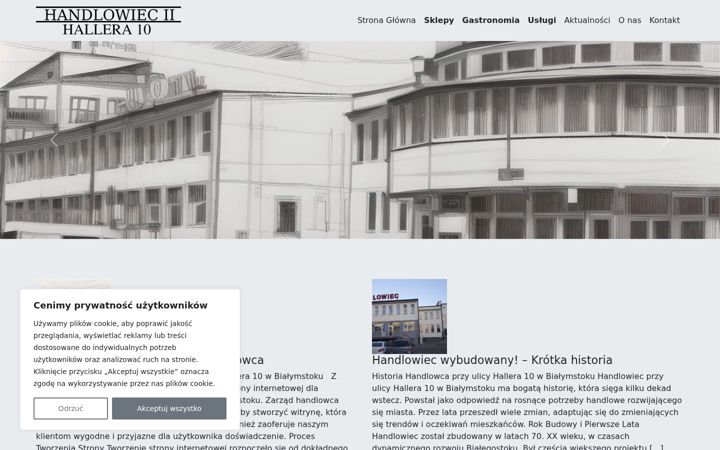 Screenshot of hallera10.pl
