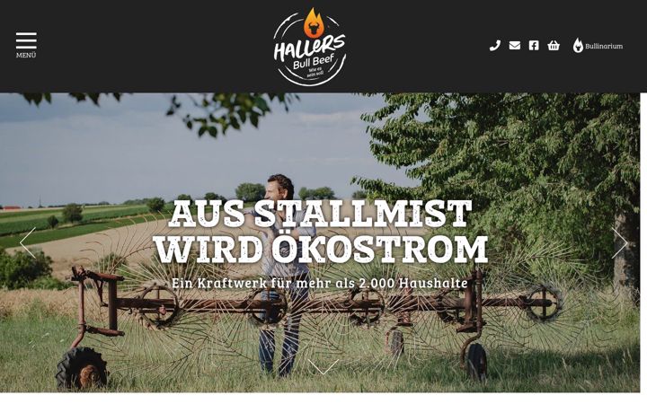 Screenshot of hallers.com