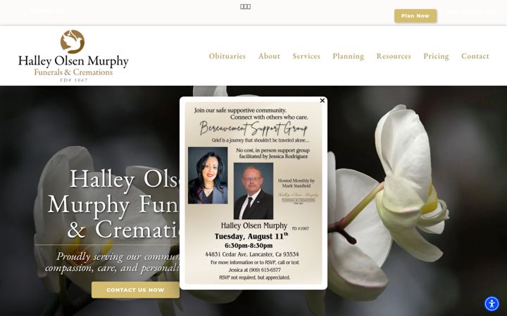 Screenshot of halleyolsen.com