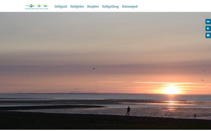 Screenshot of halligen.de