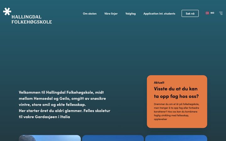 Screenshot of hallingdalfhs.no