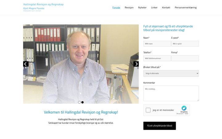 Screenshot of hallingdalrevisjon.no