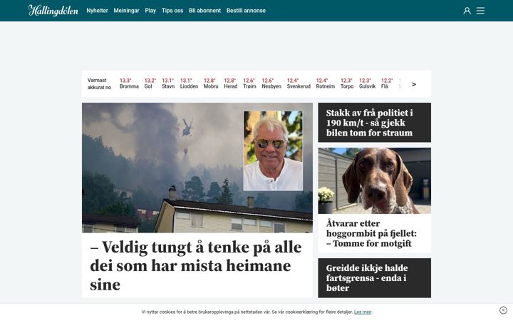 Screenshot of hallingdolen.no