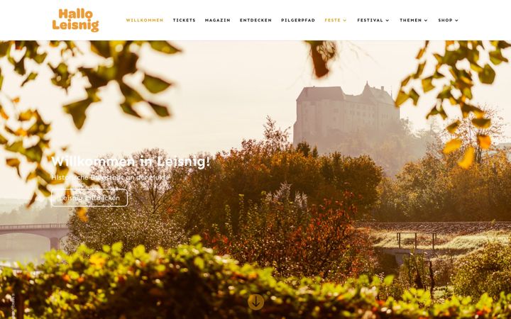 Screenshot of hallo-leisnig.de