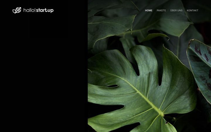 Screenshot of hallo-startup.info