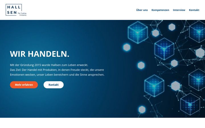 Screenshot of hallsen.de