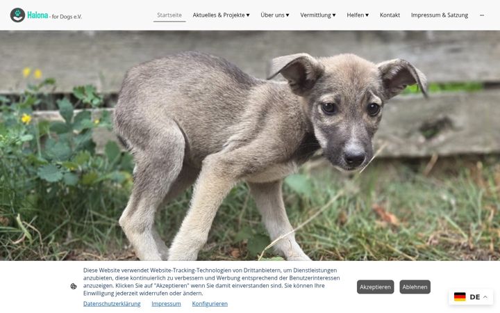 Screenshot of halonafordogs.de