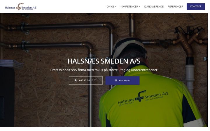 Captura de pantalla de halsnaessmedenas.dk