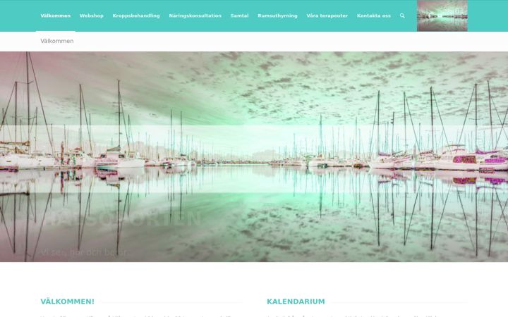 Screenshot of halsoporten.se