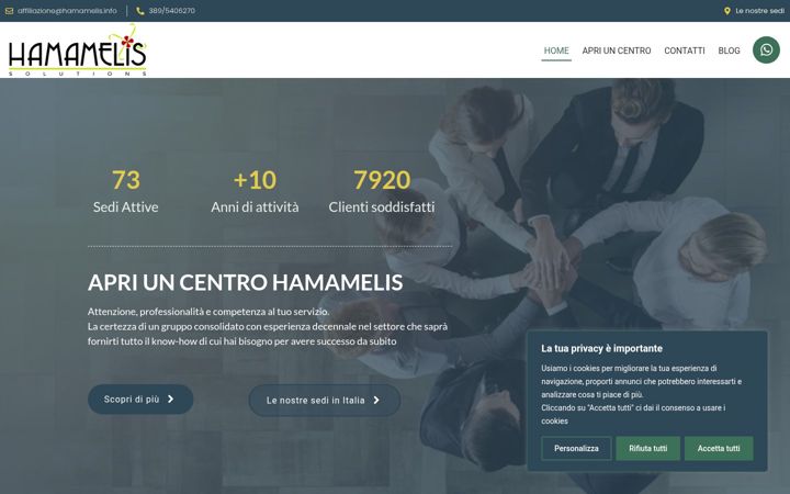 Screenshot of hamamelissolutions.it