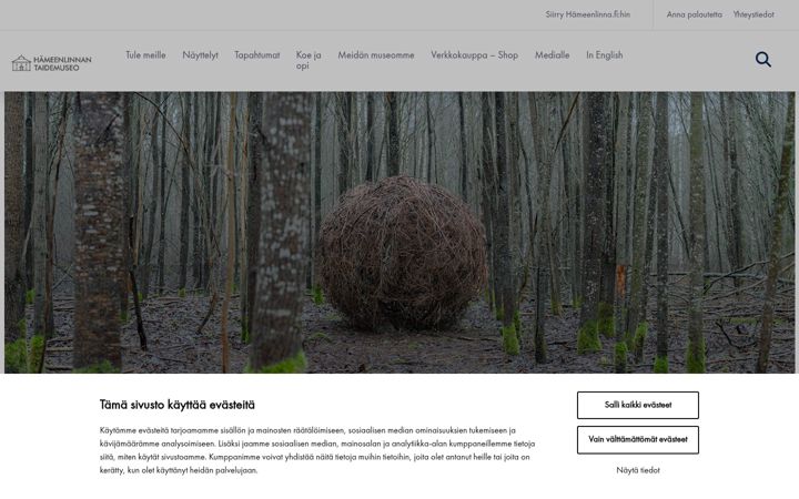 Screenshot of hameenlinnantaidemuseo.fi