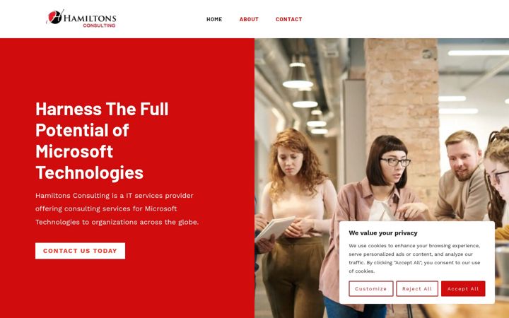 Screenshot of hamiltons.consulting