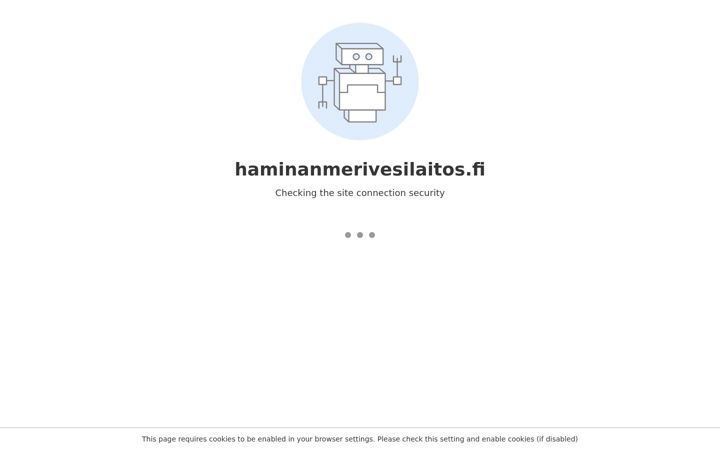 Screenshot of haminanmerivesilaitos.fi