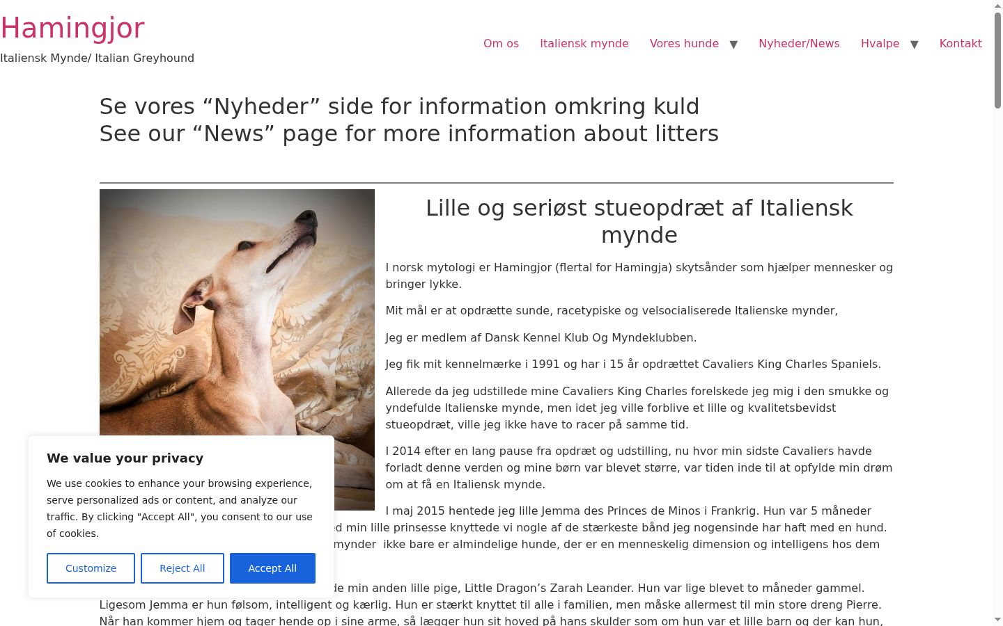 Screenshot του banner συγκατάθεσης που εμφανίστηκε πριν από οποιαδήποτε αλληλεπίδραση