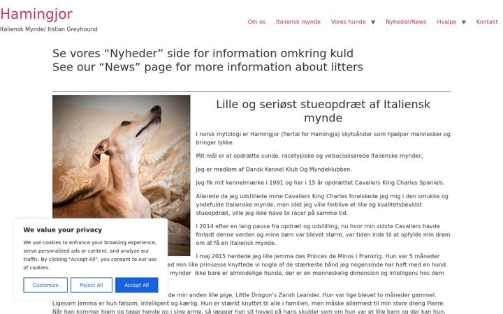 Screenshot of hamingjor.dk