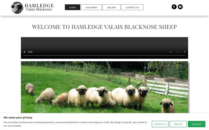 Screenshot of hamledgesheep.co.uk