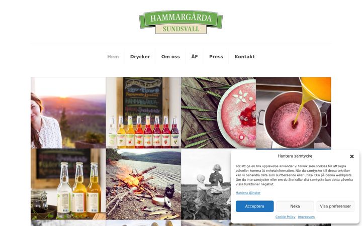 Screenshot of hammargarda.se