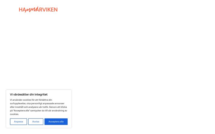Screenshot of hammarviken.com