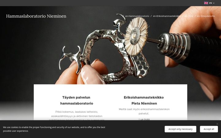 Screenshot of hammasnieminen.fi