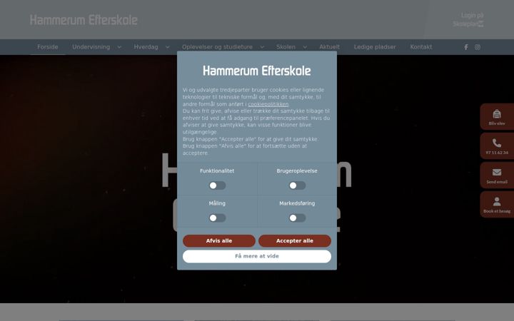 Screenshot of hamme.dk