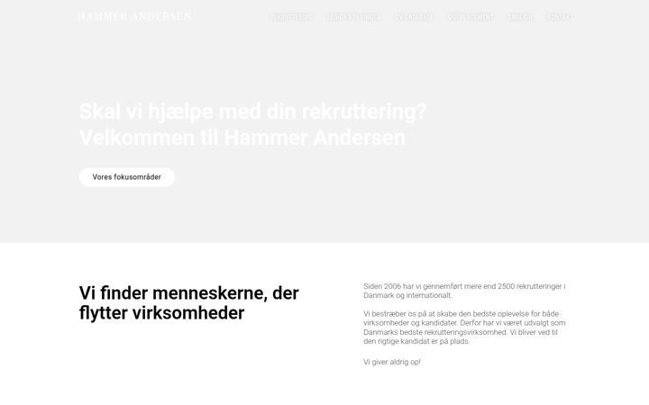 Screenshot of hammerandersen.com