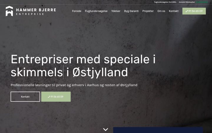 Screenshot of hammerbjerre.dk