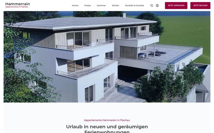 Screenshot of hammerrain-flachau.at