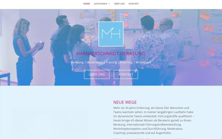 Screenshot of hammerschmidt-beratung.de