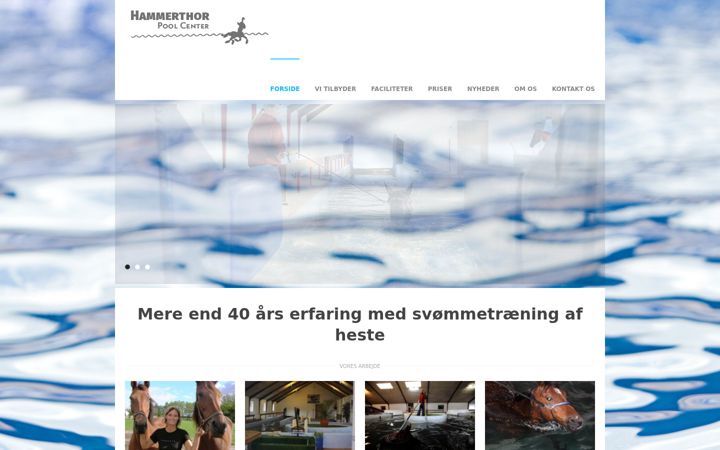 Screenshot of hammerthorpoolcenter.dk