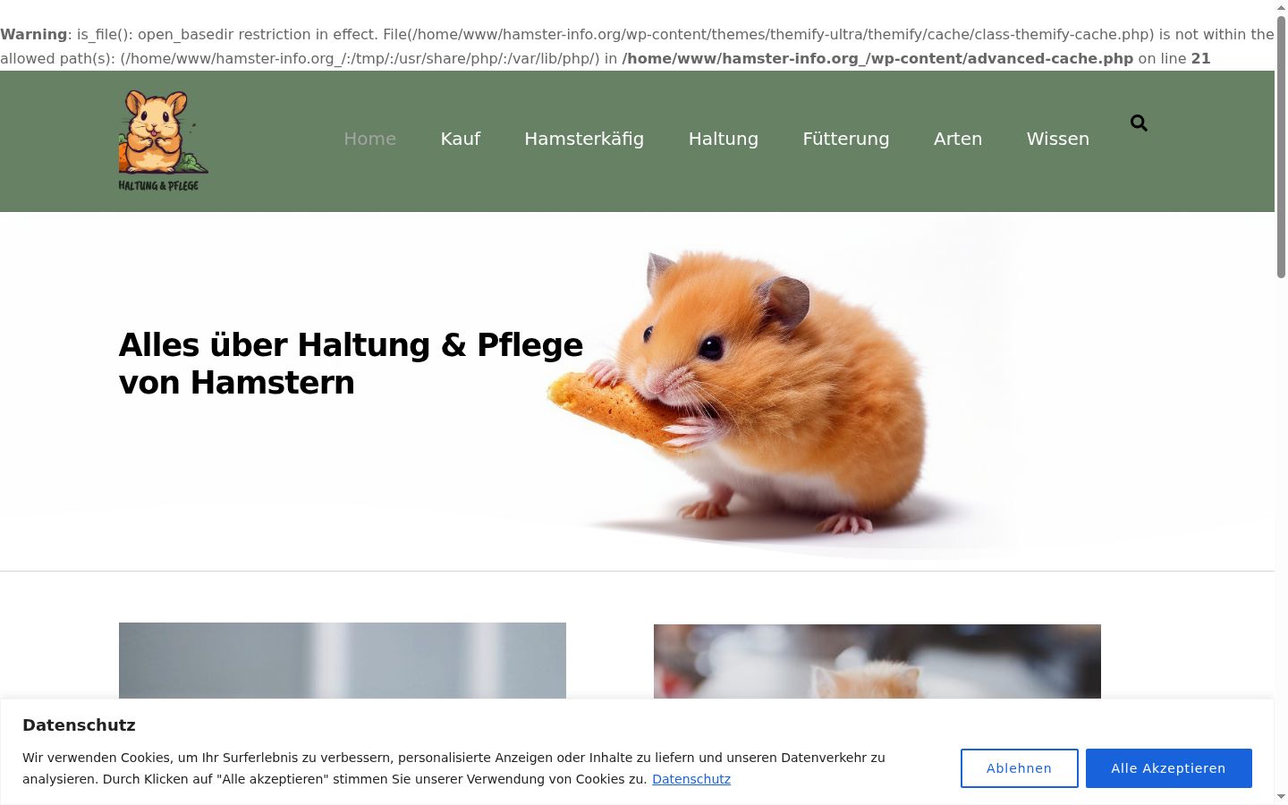 Captura de pantalla del banner de consentimiento mostrado antes de cualquier interacción