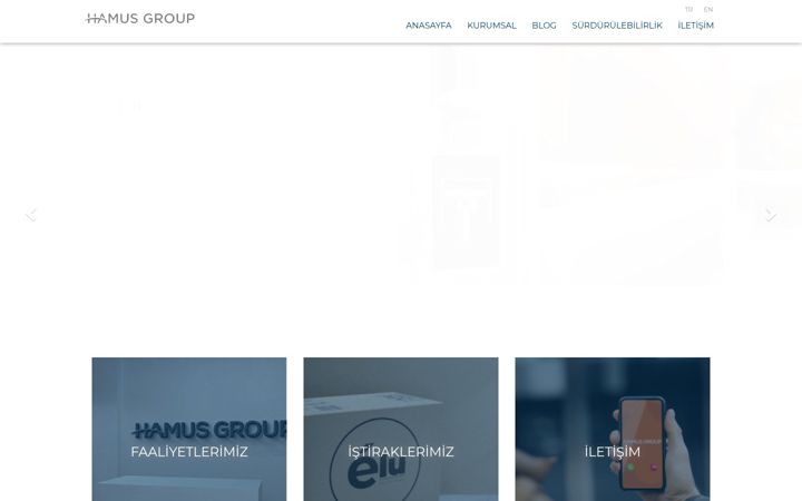 Screenshot of hamusgroup.com