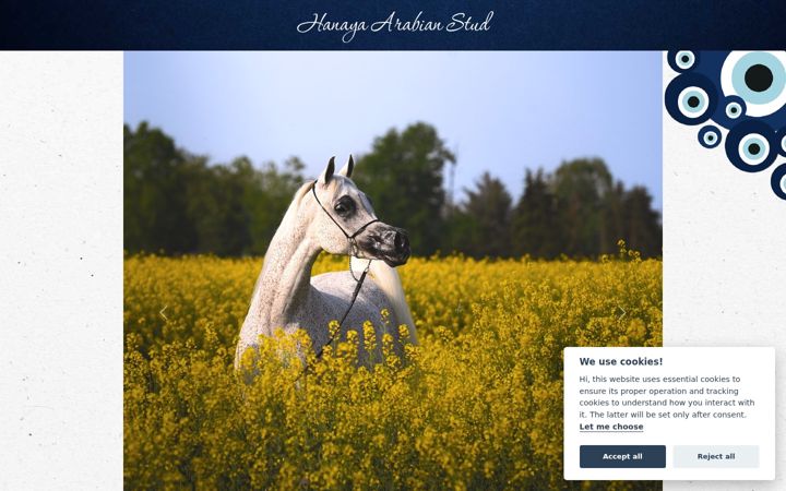 Screenshot of hanayastud.com