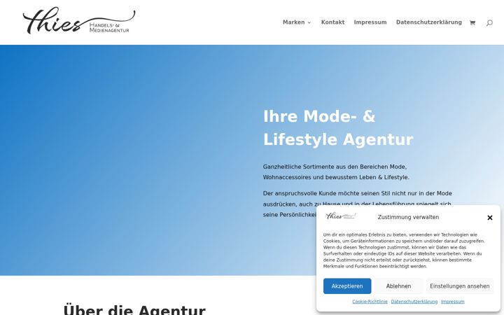 Screenshot of handelsagentur-thies.de