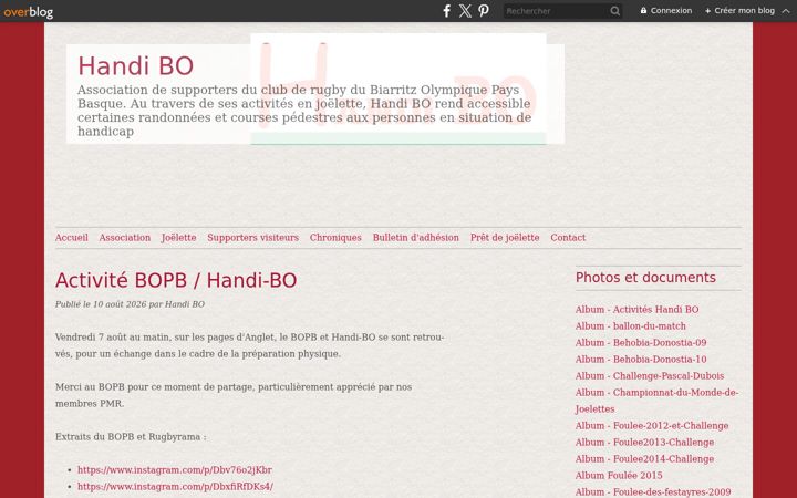 Screenshot of handi-bo.org