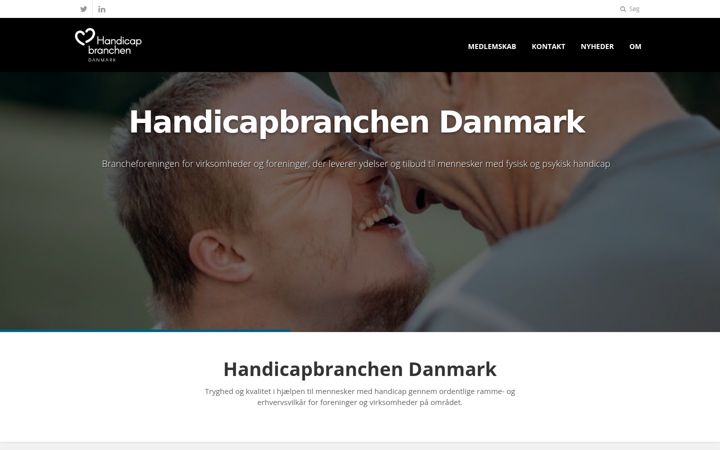 Ekraanipilt saidist handicapbranchen.dk