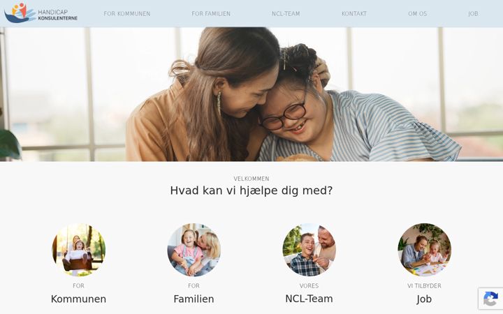 Screenshot of handicapkonsulenterne.dk