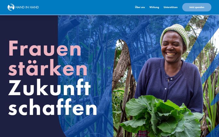 Screenshot of handinhandngo.de