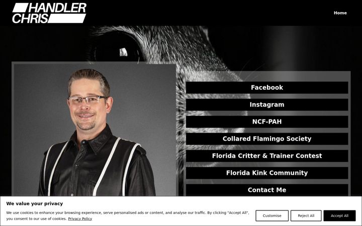 Screenshot of handlerchris.com