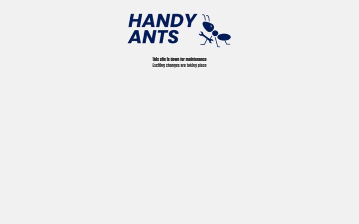 Screenshot of handyantsltd.com
