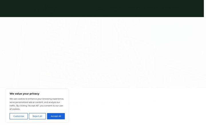 Screenshot of handymanservicessomerset.co.uk
