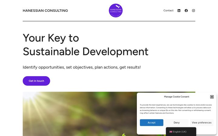 Screenshot of hanessian-consulting.com