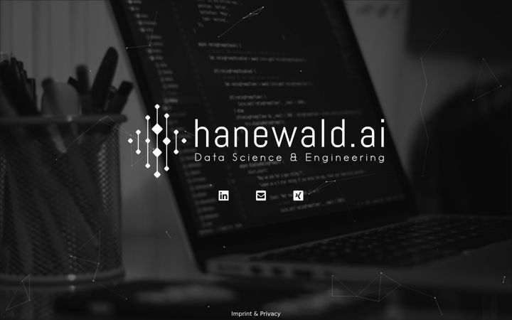 Screenshot ta' hanewald.ai