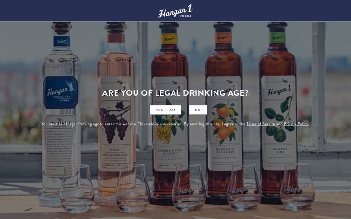 Screenshot of hangarone.com