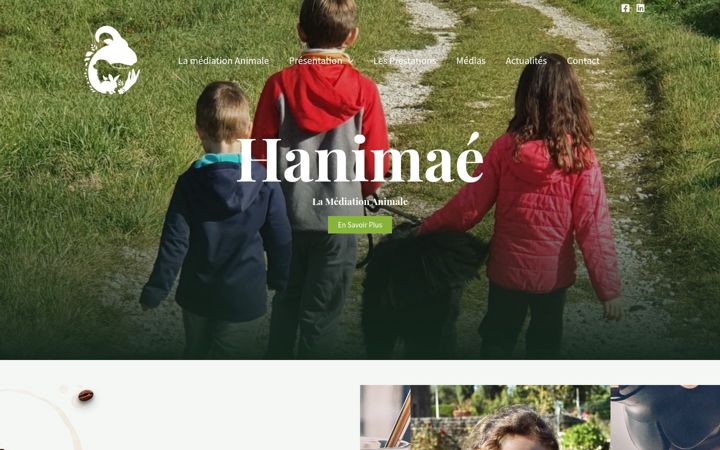 Screenshot of hanimae.fr