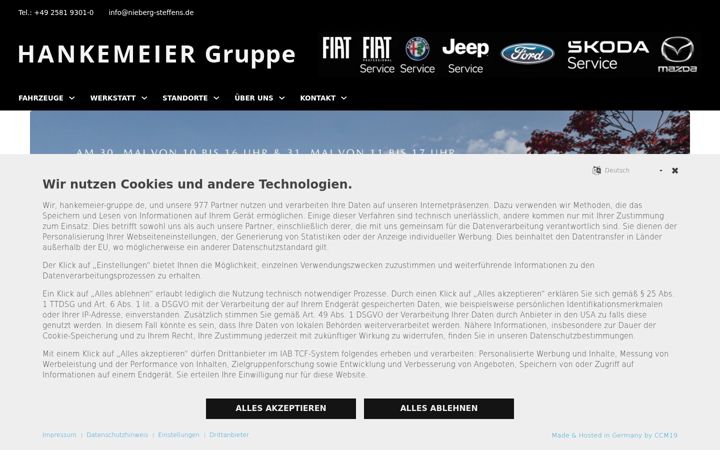Screenshot of hankemeier-gruppe.de